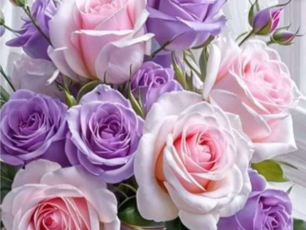 80 Stücke Seltene Rose Blumensamen Grünpflanze für Deko