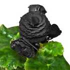 100 Stücke Seltene schwarze Rose Blumensamen Gartenpflanze für Deko