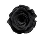 100 Stücke Seltene schwarze Rose Blumensamen Gartenpflanze für Deko
